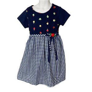 Rare Editions Short Sleeve Blue Gingham Apple Embroid Bodice Girls VTG Dress 6